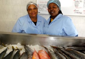 Gansbaai se Visvlekkers